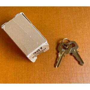 Louis Vuitton 2 Keys #301